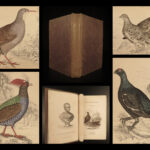 1834 BIRDS Jardine Naturalist Game Ornithology Partridge Quail Grouse Illustrated