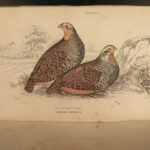 1834 BIRDS Jardine Naturalist Game Ornithology Partridge Quail Grouse Illustrated