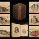 1835 Jardine Naturalist FISH Ichthyology Perch Black Bass Hawkfish FISHING