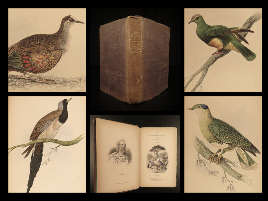 1835 jardine naturalist birds ornithology pigeons illustrated gallinaceous | sir william jardine was a 19<sup>th</sup>-century scottish naturalist most known for his extensive series of books on natural history, ‘<em>the naturalist’s library’. </em> <em> </em> this edition of jardine’s ‘<em>ornithology’</em> is beautifully color illustrated with engravings of various species of birds! The plates from jardine’s works are exceedingly desirable and are found framed and displayed by themselves. This volume showcases various gallinaceous birds, primarily various species of pigeons.