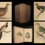 1835 Jardine Naturalist BIRDS Ornithology PIGEONS  Illustrated Gallinaceous