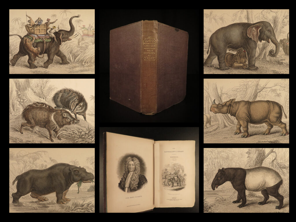 1836 jardine naturalist mammals africa elephants rhinos warthogs illustrated | sir william jardine was a 19<sup>th</sup>-century scottish naturalist most known for his extensive series of books on natural history, ‘<em>the naturalist’s library’. </em> <em> </em> this edition of jardine’s ‘<em>mammalia’</em> is beautifully color illustrated with engravings of various species of large mammals! The plates from jardine’s works are exceedingly desirable and are found framed and displayed by themselves. This volume showcases african big game animals such as african and indian elephants, rhinoceroses, the hyrax, the tapir, peccary, warthogs, and many others!