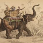 1836 Jardine Naturalist Mammals Africa Elephants Rhinos Warthogs Illustrated
