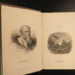 1838 Jardine Naturalist Mammals Deer Bats Seals Walrus Rabbits Moles Illustrated