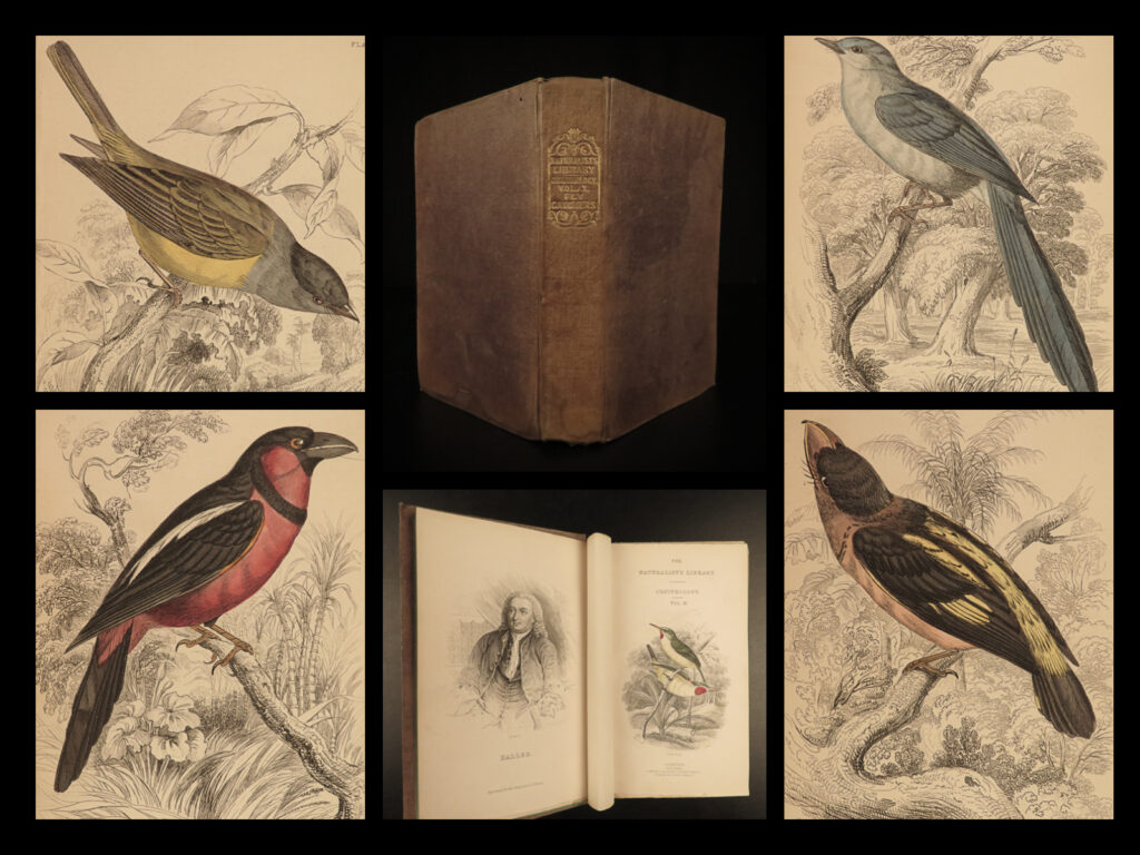 1838 jardine naturalist birds ornithology flycatchers fantails song birds tody | sir william jardine was a 19<sup>th</sup>-century scottish naturalist most known for his extensive series of books on natural history, ‘<em>the naturalist’s library’. </em> <em> </em> this edition of jardine’s ‘<em>ornithology’</em> is beautifully color illustrated with engravings of various species of birds! The plates from jardine’s works are exceedingly desirable and are found framed and displayed by themselves. This volume showcases various flycatchers, song birds, fantails, flat-bills, the tody, the gaper, and many other small birds.