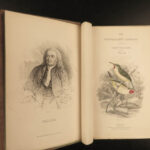 1838 Jardine Naturalist BIRDS Ornithology Flycatchers Fantails Song Birds Tody