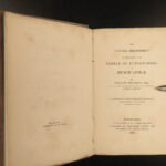 1838 Jardine Naturalist BIRDS Ornithology Flycatchers Fantails Song Birds Tody