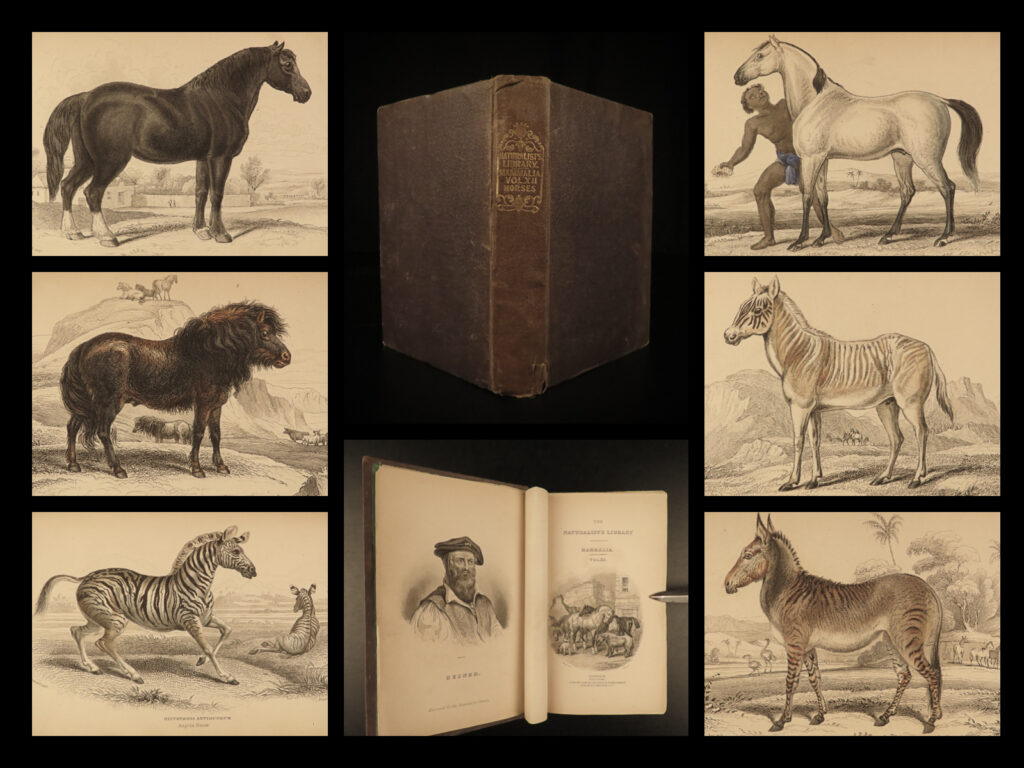 1841 jardine horses naturalist mammalia equestrian peru zebra africa illustrated | sir william jardine was a 19<sup>th</sup>-century scottish naturalist most known for his extensive series of books on natural history, ‘<em>the naturalist’s library’. </em> <em> </em> this 1841 edition of jardine’s “<em>mammalia</em>” is impressively illustrated with 33 color engravings of horses. <strong>this tome is often considered one of the most desirable of all of jardine’s volumes because of the exquisite views of horses</strong>. This volume also showcases the zebra and other horses from around the world – ex: africa, peru, hungary.
