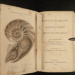 1851 Mollusca Sea Shells Zoology Manual FOSSILS Marine Squid Mollusk Illustrated