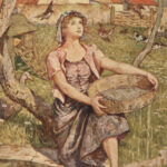 1906 Orange Fairy Book 1st ed Andrew Lang Fairy Tales Ugly Duckling Magic Mirror