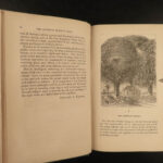 1869 1ed Harriet Beecher Stowe Woman’s Home Economics Cooking Americana