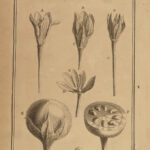 1719 Elements of BOTANY Joseph Tournefort Herbariae PLANTS Flowers Herbal
