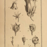 1719 Elements of BOTANY Joseph Tournefort Herbariae PLANTS Flowers Herbal