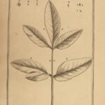 1719 Elements of BOTANY Joseph Tournefort Herbariae PLANTS Flowers Herbal