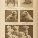 1906 The DOG Book by James Watson Bulldogs St Bernard Poodles Veterinary Canine