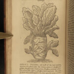 1764 1ed Agriculture English Farming Museum Rusticum Botany Plants Commerce 4v