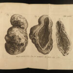 1758 1ed Medicine & Surgery Anatomy Abdominal Diseases PLATES Albrecht Haller