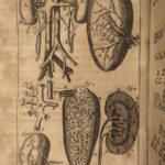 1691 1ed Medicine & Surgery Dutch Blankaart German Anatomy Cardiology Neurology