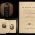 1870 Rhind BOTANICAL History Vegetable Kingdom Plants Botany Illustrated Herbal