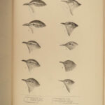 1874 BIRDS 1ed History of North American Ornithology Illustrated Baird 3v SET