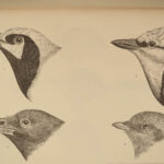 1874 BIRDS 1ed History of North American Ornithology Illustrated Baird 3v SET