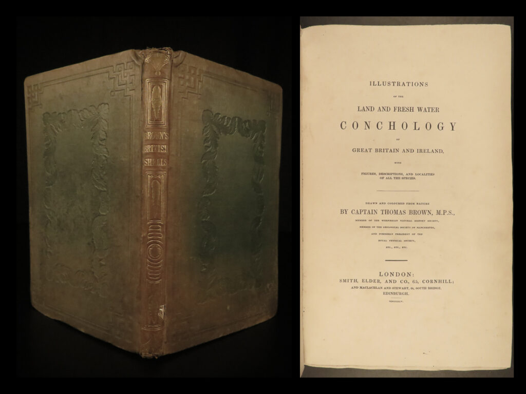 1845 shells 1ed conchology land & water mollusks clams slugs snails illustrated | thomas brown was a 19<sup>th</sup>-century british naturalist and zoologist. Much of his success in his field is due to his ‘<em>illustrations of’</em> series. In these works, brown provides thorough descriptions and illustrations of animals and marine creatures. ‘<em>land and fresh water conchology of great britain and ireland’</em> is perhaps one of the best volumes from this series, complete with 27 hand-colored engravings of shells, mollusks, clams, slugs and snails, and shells.