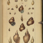 1845 SHELLS 1ed Conchology Land & Water Mollusks Clams Slugs Snails Illustrated