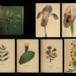 1880 Holy Land Wild Flowers Botany Illustrated Palestine Jerusalem 54 Color ART