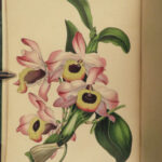 1840 1ed Magazine of BOTANY Paxton Flowers Color Illustrated Plants Seeds RARE