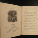 1875 SIGNED Sport & War Big Game HUNTING South Africa Lions Witch Doctors Bisset