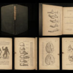 1863 EVOLUTION 1ed Huxley Man’s Place in Nature Darwin March of Progress APES