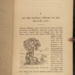 1863 EVOLUTION 1ed Huxley Man’s Place in Nature Darwin March of Progress APES
