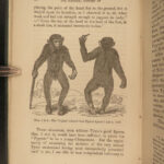 1863 1ed Huxley EVOLUTION Man’s Place in Nature Darwin March of Progress APES