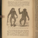 1863 EVOLUTION 1ed Huxley Man’s Place in Nature Darwin March of Progress APES