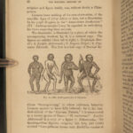 1863 EVOLUTION 1ed Huxley Man’s Place in Nature Darwin March of Progress APES