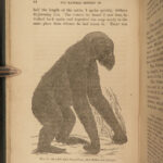 1863 EVOLUTION 1ed Huxley Man’s Place in Nature Darwin March of Progress APES