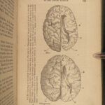 1863 EVOLUTION 1ed Huxley Man’s Place in Nature Darwin March of Progress APES