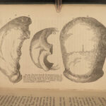 1863 EVOLUTION 1ed Huxley Man’s Place in Nature Darwin March of Progress APES