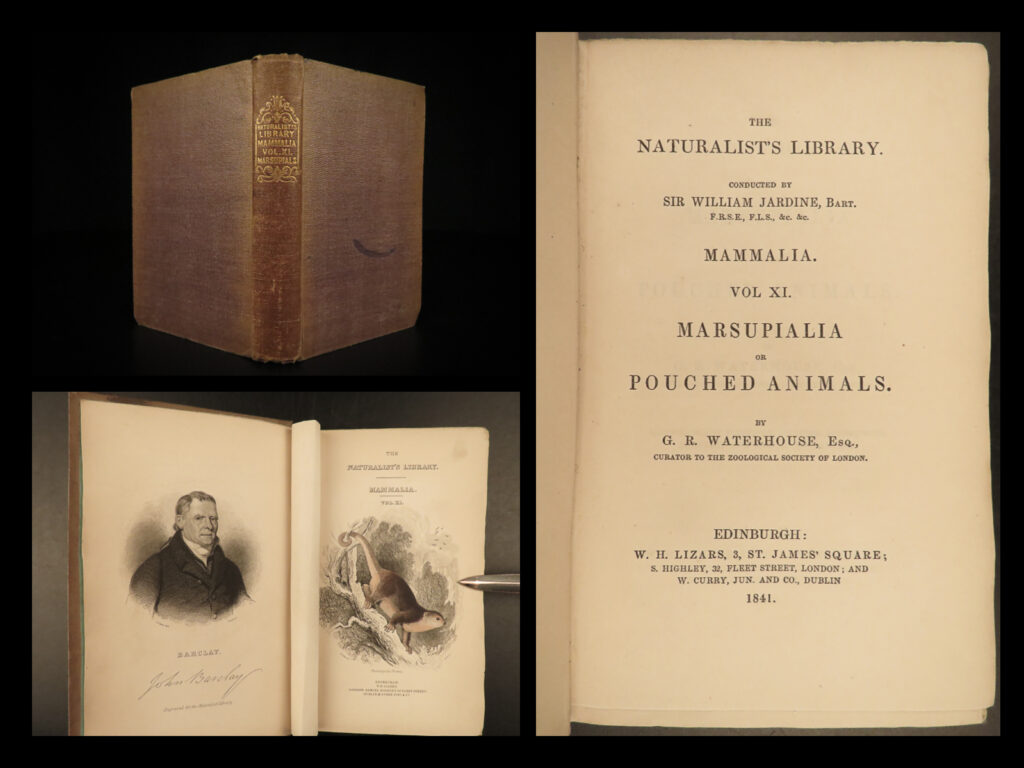 1841 jardine mammals naturalist squirrels porcupine platypus rodents illustrated | sir william jardine was a 19<sup>th</sup>-century scottish naturalist most known for his extensive series of books on natural history, ‘<em>the naturalist’s library’. </em> <em> </em> this edition of jardine’s ‘<em>mammalia’</em> is beautifully color illustrated with 34 engravings of various species of large rodents! The plates from jardine’s works are exceedingly desirable and are found framed and displayed by themselves. This volume showcases illustrations and descriptions of squirrels, mongoose, platypus, porcupines, and other similar animals.