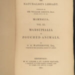 1841 Jardine Mammals Naturalist Squirrels Porcupine Platypus Rodents Illustrated