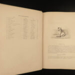 1838 NIMROD British Field Sports HUNTING Art Horses Dogs Illustrated ENORMOUS
