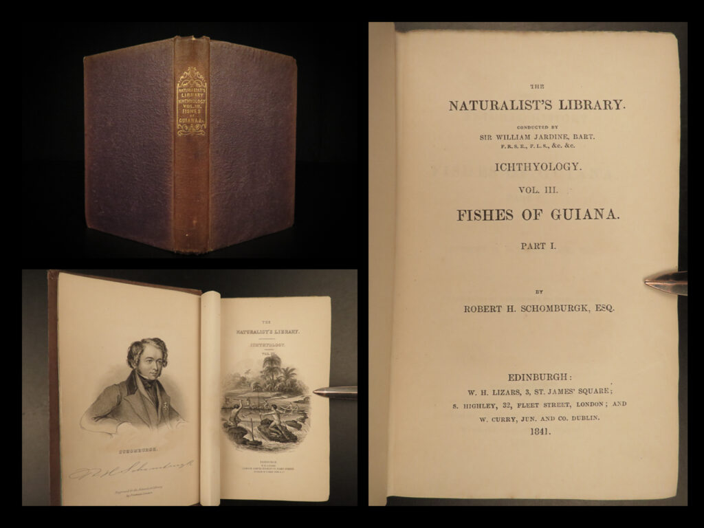 1841 jardine naturalist fish piranha salmon carp dorsa ichthyology africa guiana | sir william jardine was a 19<sup>th</sup>-century scottish naturalist most known for his extensive series of books on natural history, ‘<em>the naturalist’s library’. </em> <em> </em> this edition of jardine’s ‘<em>ornithology’</em> is beautifully illustrated with engravings of various species of fish of guiana! The plates from jardine’s works are exceedingly desirable and are found framed and displayed by themselves. This volume showcases various fish such as porcupine acanthicus, shark-tailed hypostoma, black doras, tiger pimelodus, flat-headed platystoma, piranha saw-bellied salmon, carp, fishing implements, and much more. This 1841 edition includes a memoir of r. H. Schomburgk.