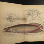 1841 Jardine Naturalist FISH Piranha Salmon Carp Dorsa Ichthyology Africa Guiana