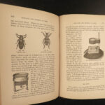 1883 Quinby Beekeeping Beehives Honey Bees Illustrated Apiary Insects Cultures Root