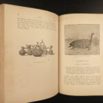 1890 1st Illustrated ed Charles Darwin Journal EVOLUTION HMS Beagle History MAPS