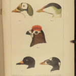 1887 ALASKA 1ed Natural History Zoology Illustrated BIRDS Animal Ecology Siberia