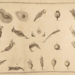 1787 MICROSCOPE Biology OPTICS Botany Insects + Illustrated SCIENC Atlas Adams