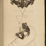 1822 Anatomy PLATES 1ed Childbirth Demonstrations Maygrier Medicine Pregnancy