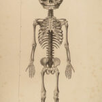 1822 Anatomy PLATES 1ed Childbirth Demonstrations Maygrier Medicine Pregnancy