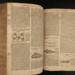 1573 Mattioli HERBAL Botany Medicine Pharmacy Dioscorides Kreuterbuch Drugs